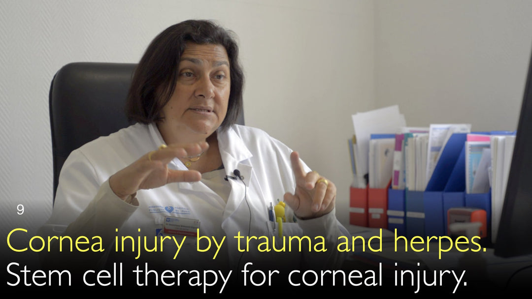 Lesión corneal por traumatismo y herpes. Terapia con células madre para la lesión corneal. 9