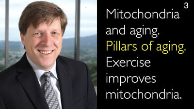 Mitocondrias y envejecimiento. Pilares del envejecimiento. El ejercicio mejora las mitocondrias. 3