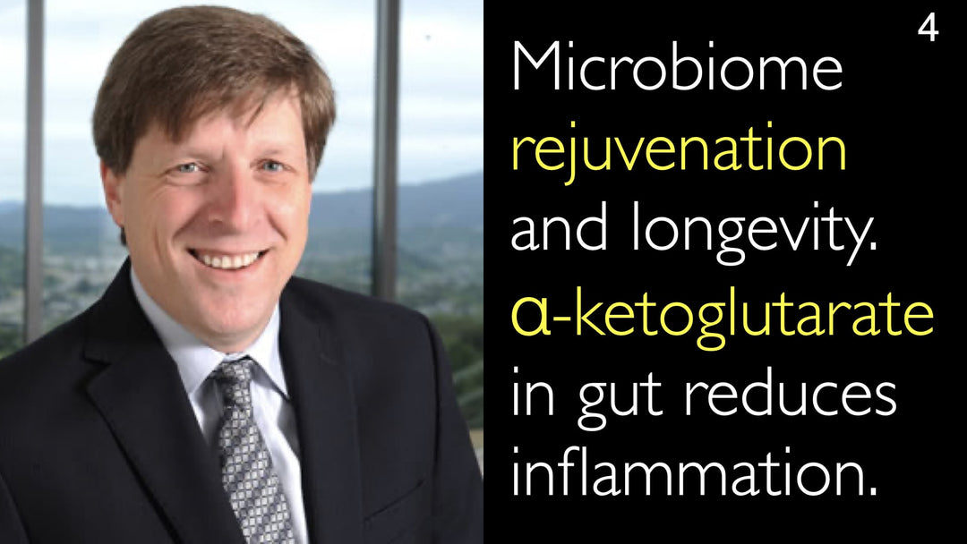 Rejuvenecimiento del microbioma y longevidad. El alfa-cetoglutarato en el intestino reduce la inflamación. 4