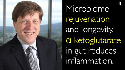Rejuvenecimiento del microbioma y longevidad. El alfa-cetoglutarato en el intestino reduce la inflamación. 4