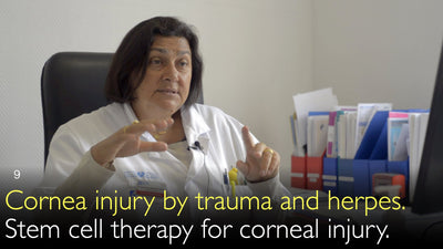 Lesión corneal por traumatismo y herpes. Terapia con células madre para la lesión corneal. 9