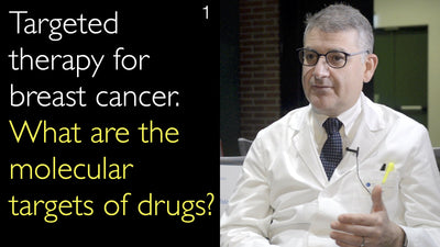 Terapia dirigida para el cáncer de mama. ¿Cuáles son las dianas moleculares de los medicamentos? 1