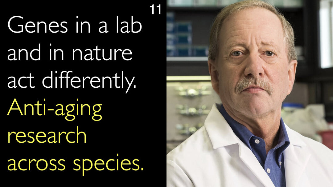 Los genes actúan de forma diferente en el laboratorio y en la naturaleza. Investigación antienvejecimiento en distintas especies. 11