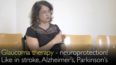 Nueva terapia para el glaucoma: la neuroprotección. Similitudes con el ictus, la enfermedad de Alzheimer y la enfermedad de Parkinson. 3